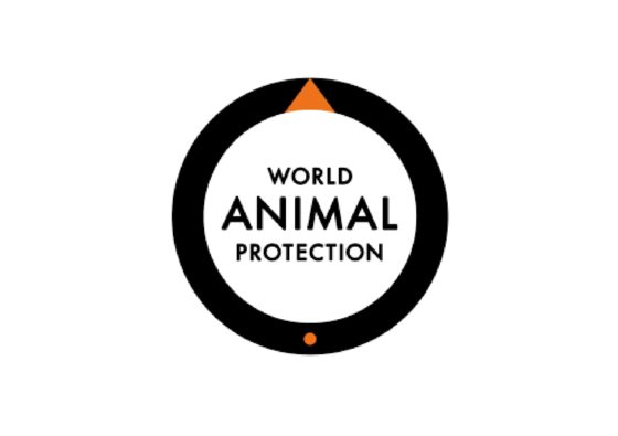 www.worldanimalprotection.org.in