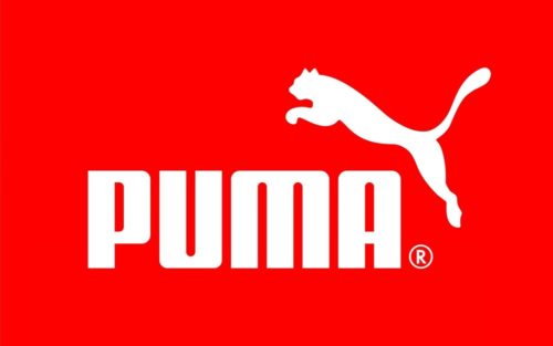 Puma ties-up with ShopX to scale retail footprint in Tier II cities